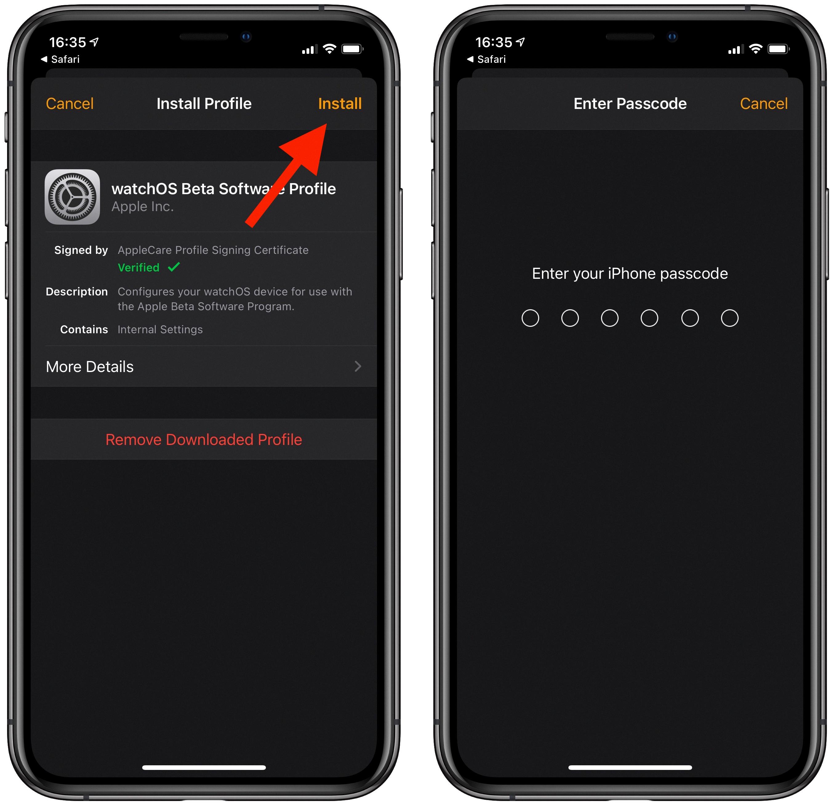 apple beta apple watch