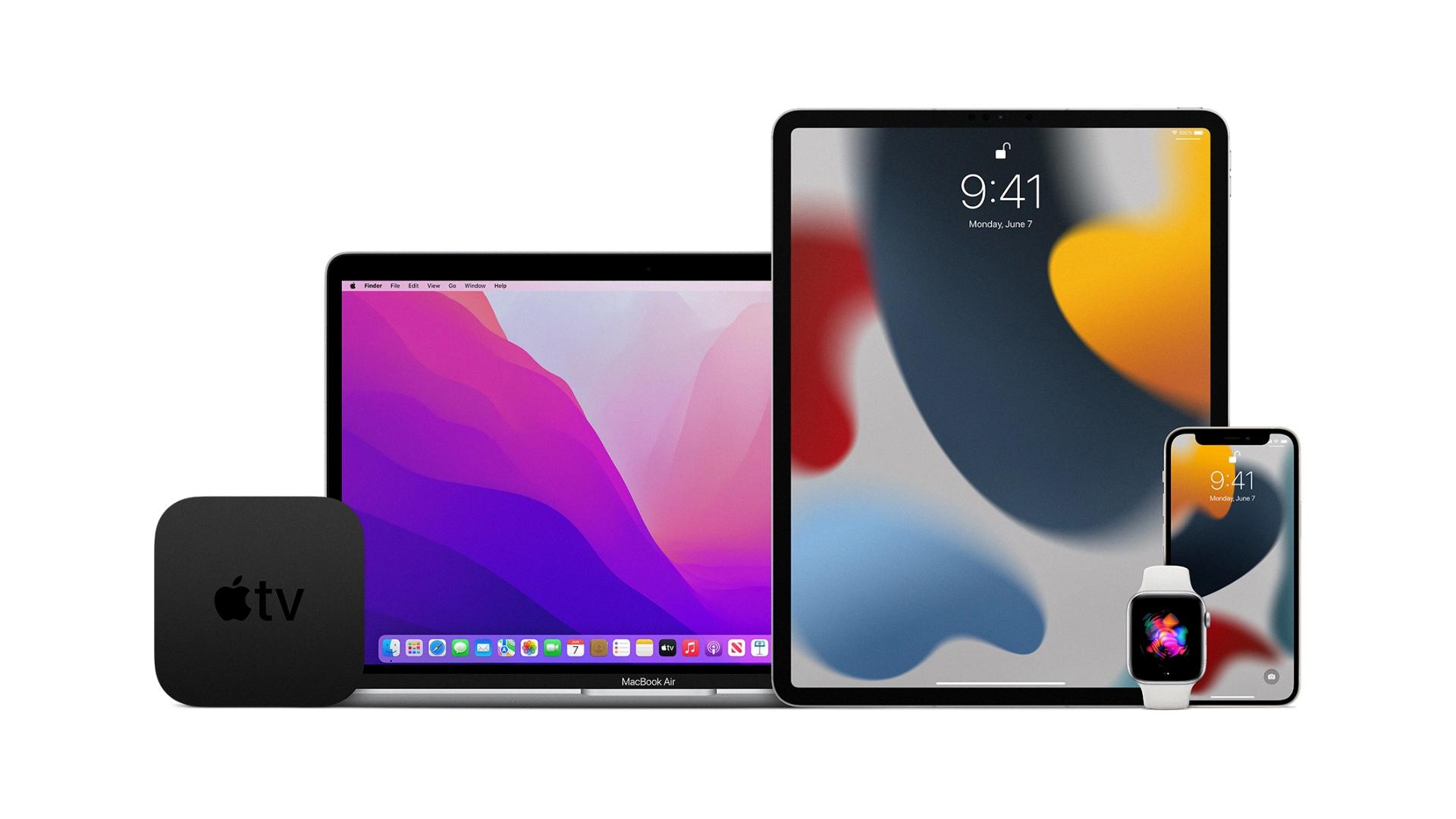 apple beta apple watch