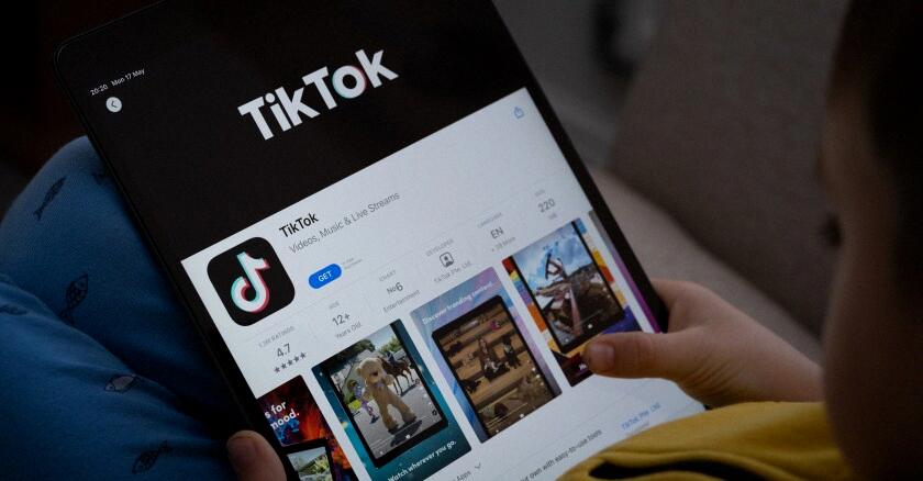 block tiktok on ipad