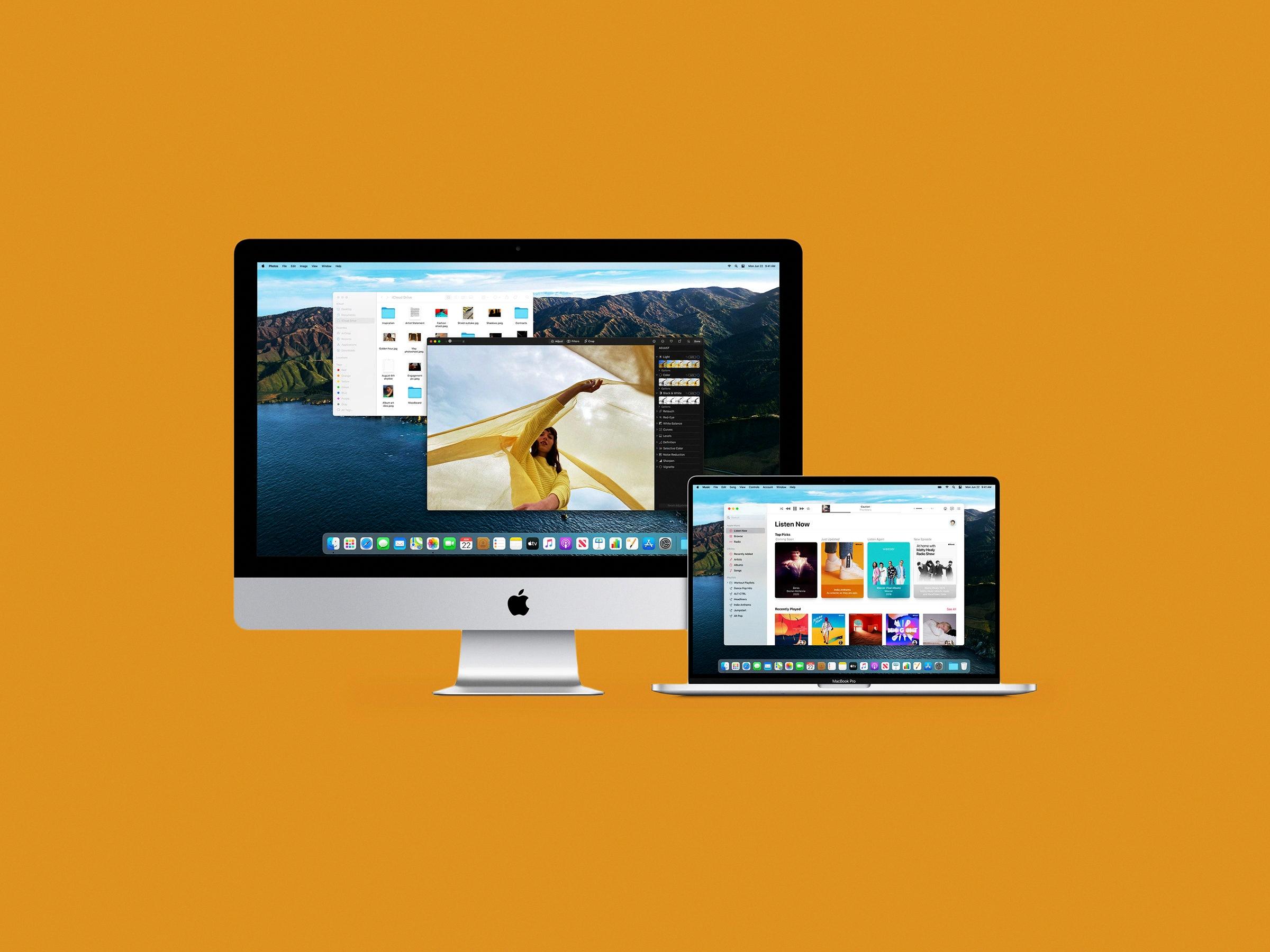 blocked plugin in safari