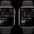 How to Calibrate Your Heart Rate with Apple Watch 7