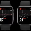 Can You Monitor Your Heart Rate Continuously on Apple Watch 7