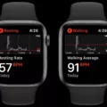 Can You Monitor Your Heart Rate Continuously on Apple Watch 7