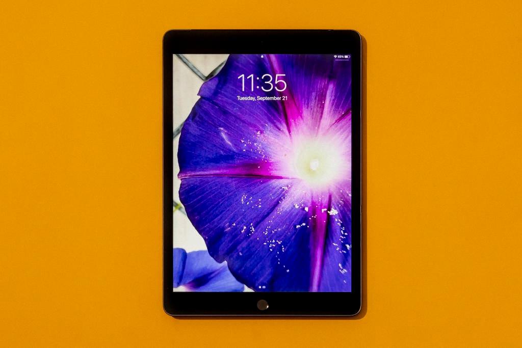 google search bar for ipad