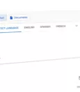 How to Use Google Translate on Safari 3
