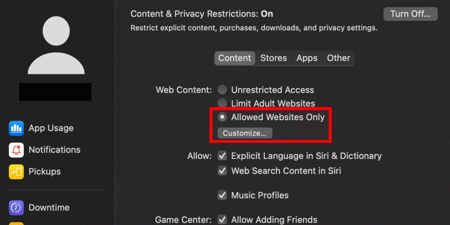 how to allow safari during downtime
