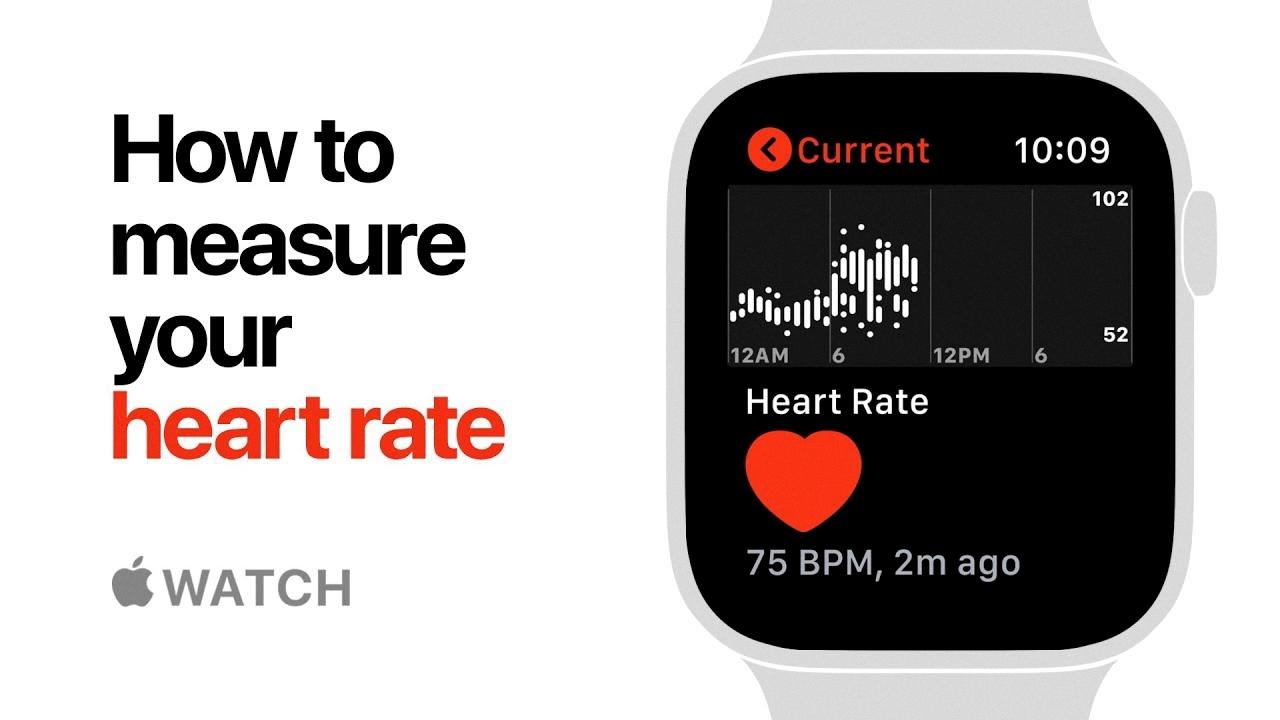how to check heart rate on apple watch 3