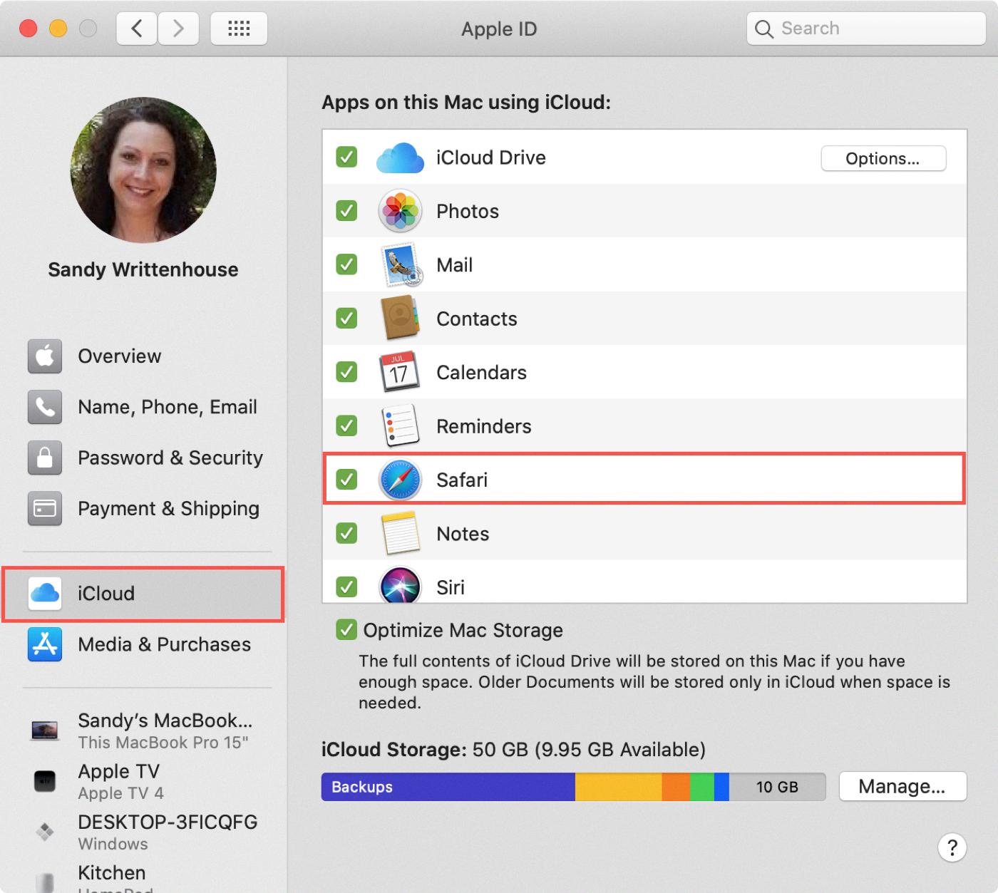 how to delete safari history from icloud