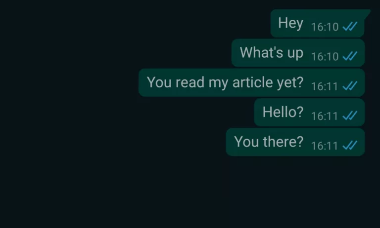 How To Make One Tick On Whatsapp 16