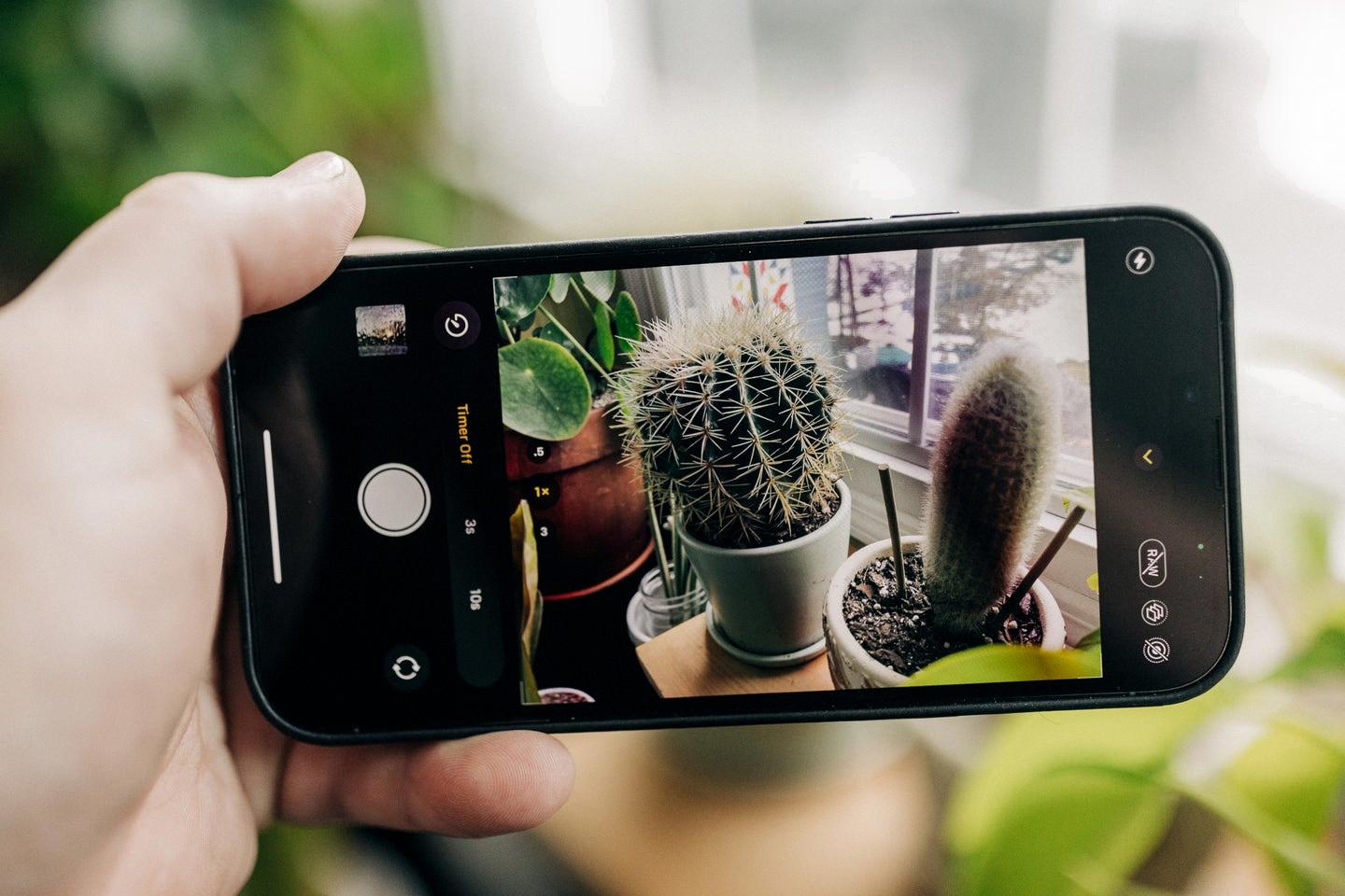 how to put self timer on iphone 11