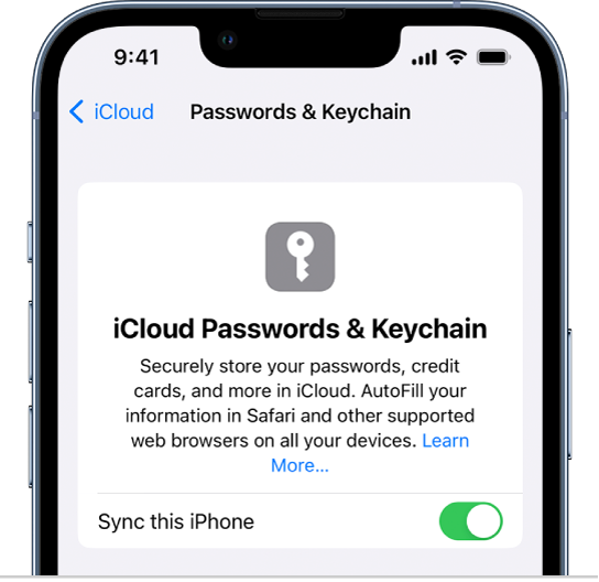 How to Store Your Passwords in iPhone Keychain 19