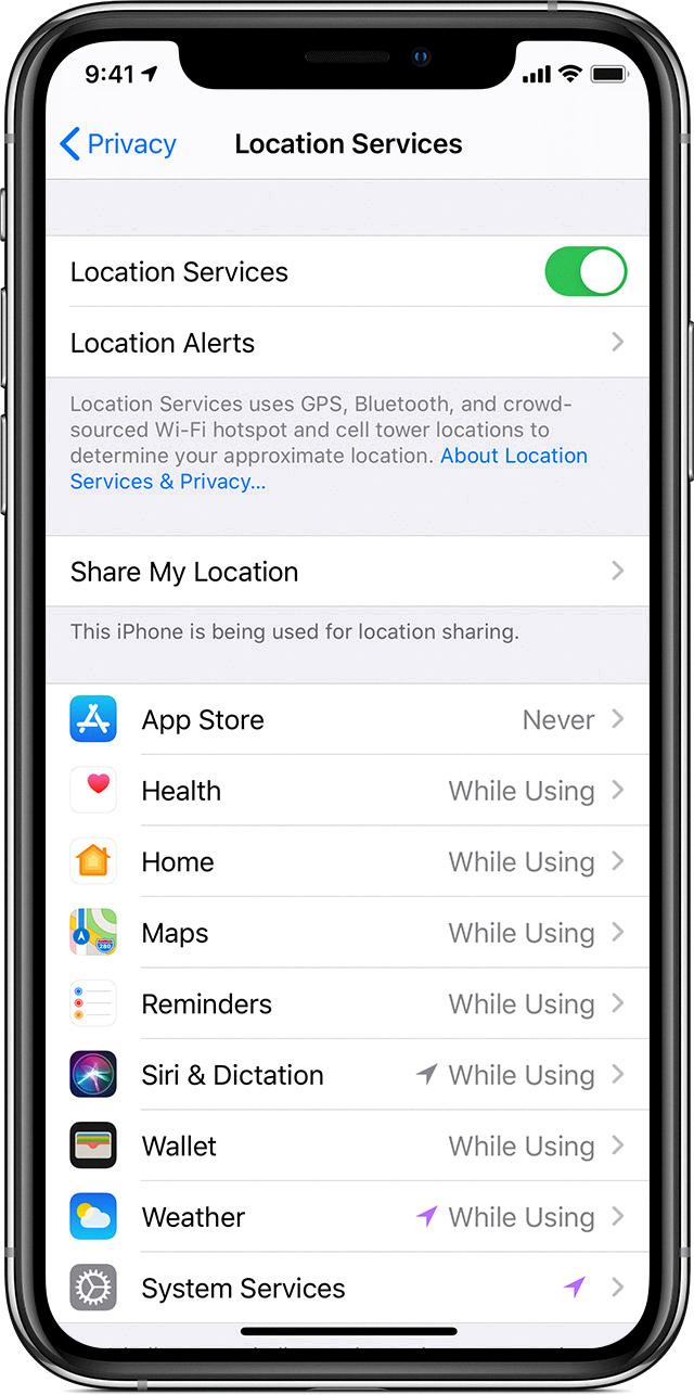 location services safari