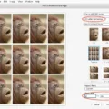 How To Print Wallet-Sized Photos On Mac 8