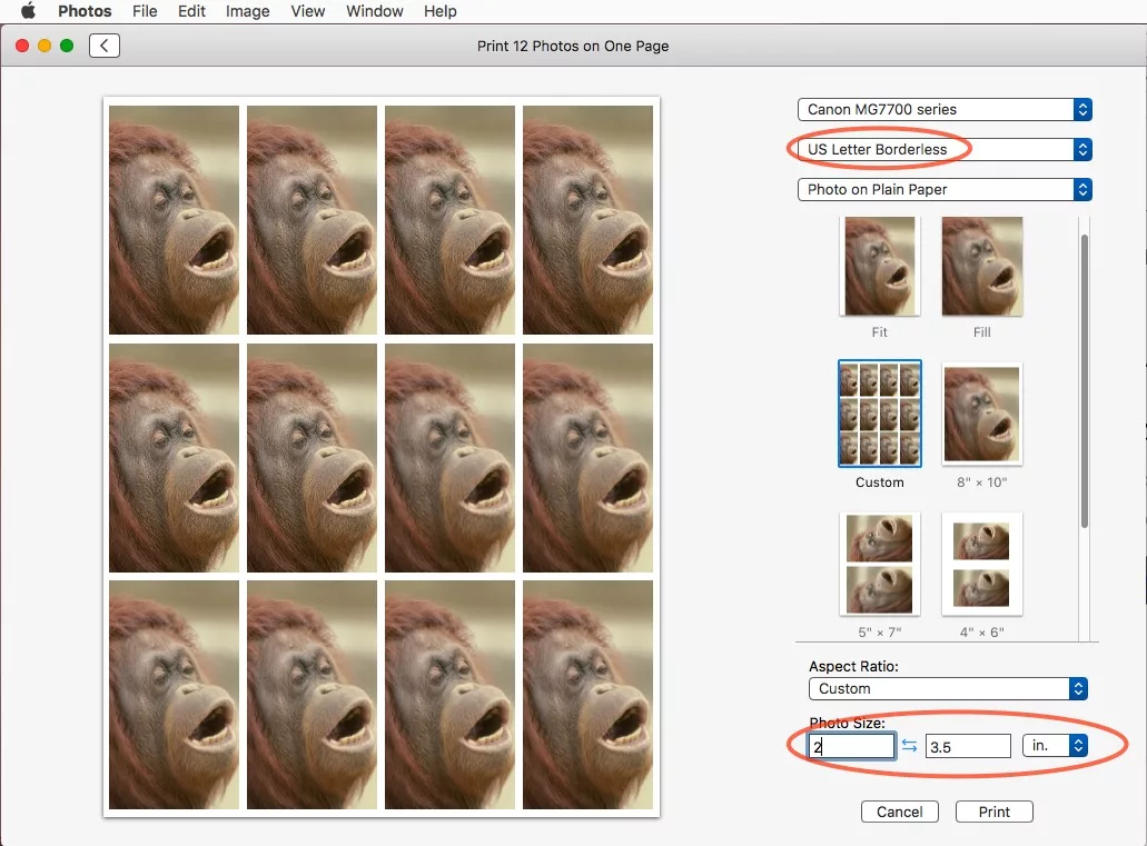 How To Print WalletSized Photos On Mac DeviceMAG