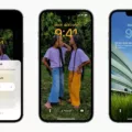 Unlock New Visuals with Safari Live Wallpaper 11