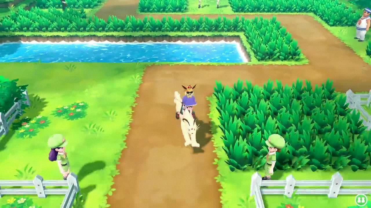 safari zone let