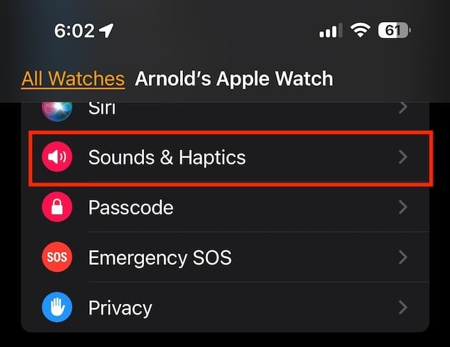 How to Customize Your Apple Watch Message Tone 3