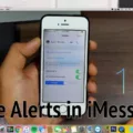 What Does Hide Alerts Mean 7