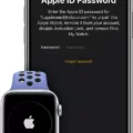 How To Reset Your Apple Watch Activation Lock 9