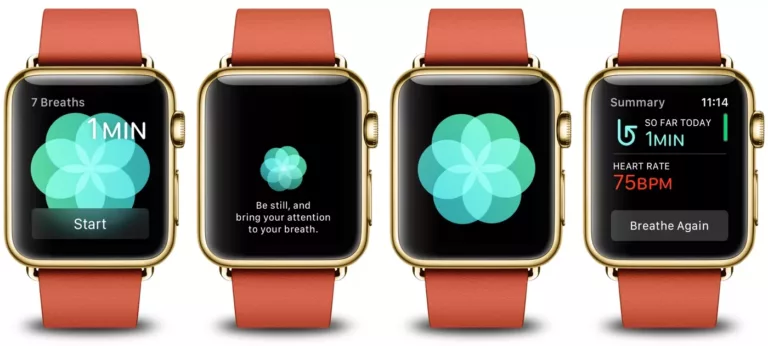 How To Install Breathe App On Apple Watch 13