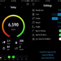 How To Check Calories Burned On iPhone 3