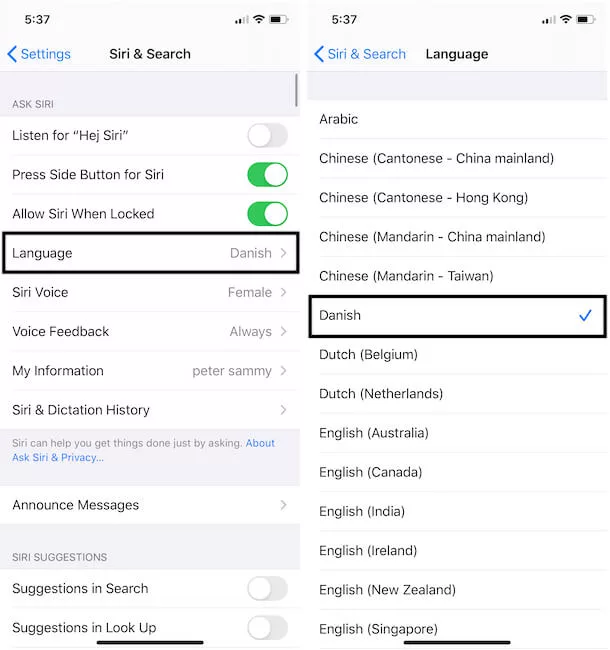How To Change Siri To Chinese on Your iPhone 11