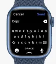 How To Install Flicktype On Apple Watch 5