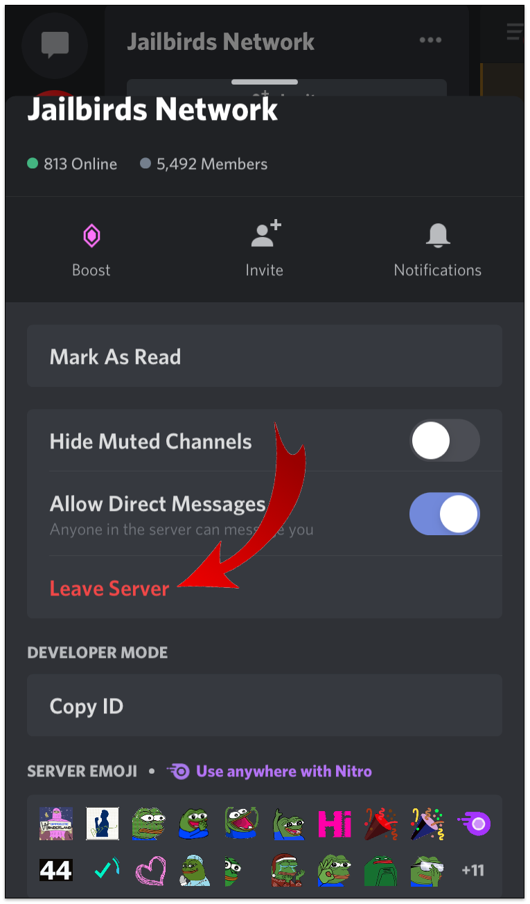 How To Leave A Discord Server On Your iPhone 3