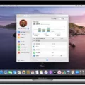 How To Make Your Mouse Cursor Disappear On Mac 5