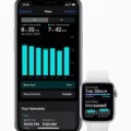 How To Sync Apple Watch To Fitbit App 3