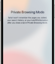 How To Check Your Private Browsing History On Safari iPhone 3
