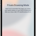 How To Check Your Private Browsing History On Safari iPhone 11