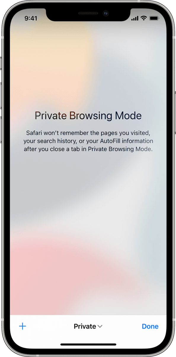 How To Check Your Private Browsing History On Safari iPhone 1