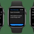 How To Add Keyboard To Apple Watch 17