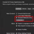 How To Allow Safari During Downtime 14