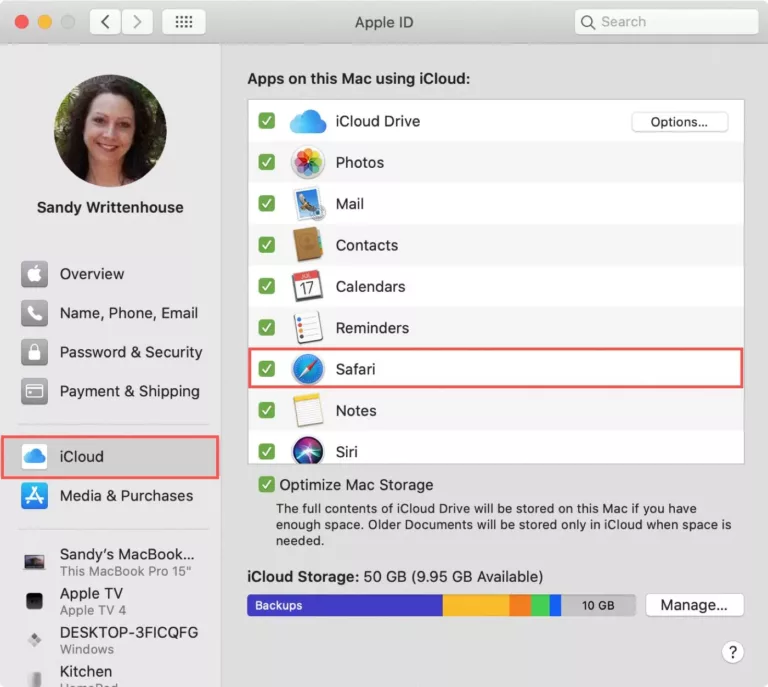 How To Delete Safari History From Icloud 17
