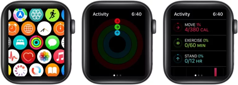 How To Check Total Calories Burned On Apple Watch 6 13