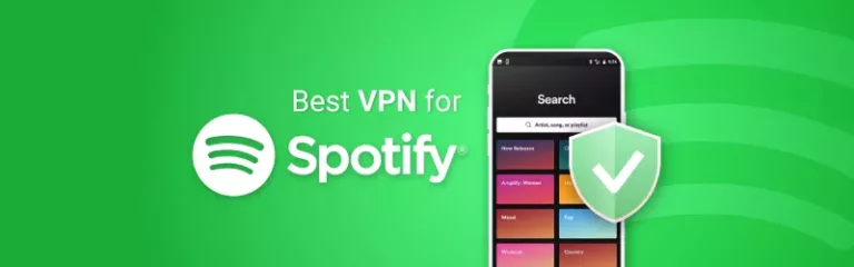 How to Acess Spotify with a VPN 17