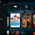 How to Browse the Internet with Kodi 7