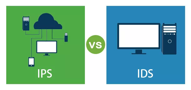 Difference Between IPS and IDS: Which Is Right for Your Network? 7