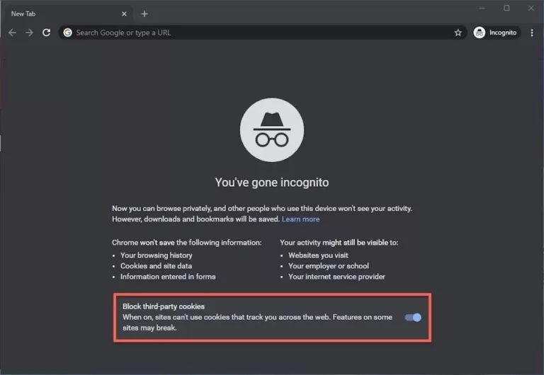 Does Incognito Mode Really Hide Your History? 19