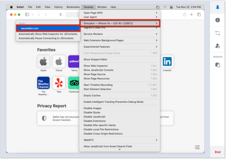 How to Inspect Elements on Your iPad 11