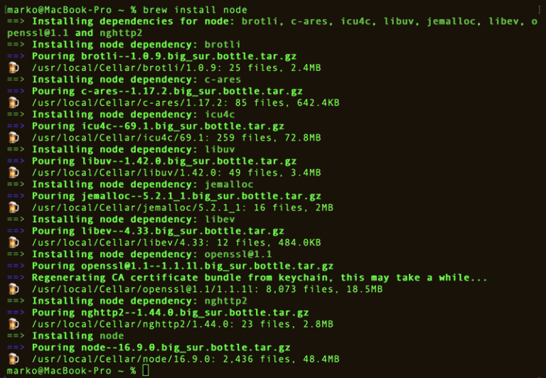 How to Effortlessly Install NPM on MacOS 19