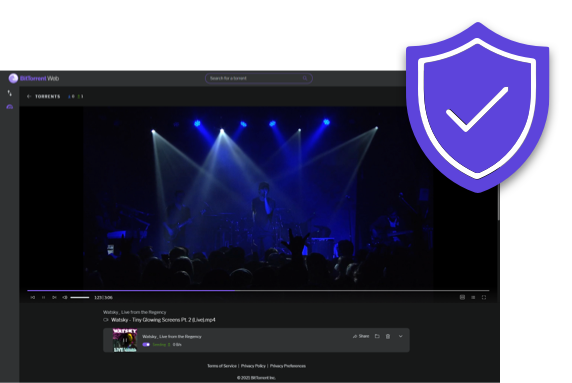 How to Protect Yourself While Torrenting: Is BitTorrent Safe? 29