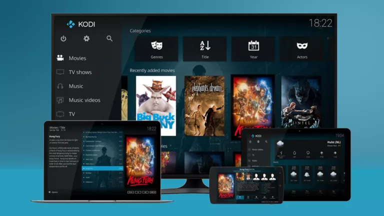 How to Install Kodi on Android, Firestick, Smart TV & More 5