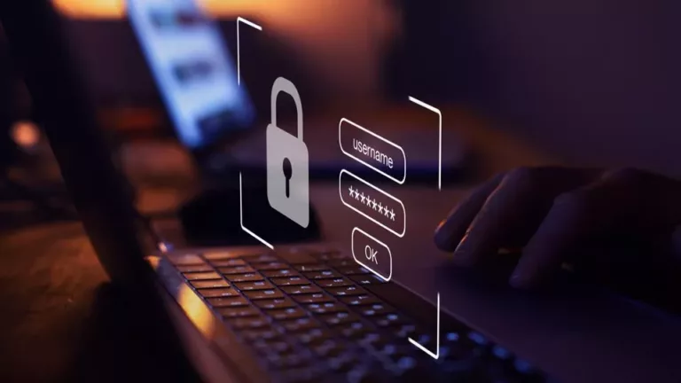 What Happens to Your Passwords When You Clear Your Cache? 17