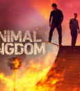 How to Stream Animal Kingdom Season 6 13