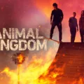 How to Stream Animal Kingdom Season 6 3
