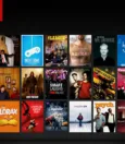 How to Watch US Netflix in Germany Using VPN 1