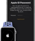 How To Unlock Used Apple Watch 15